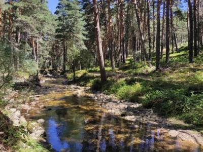 Pesquerías Reales-Valsaín,Río Eresma;visitas por madrid volcanes en cataluña paginas de viaje pa